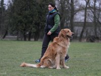 Bendix Obedience Workshop beim VdH Mauer 2016 (57)